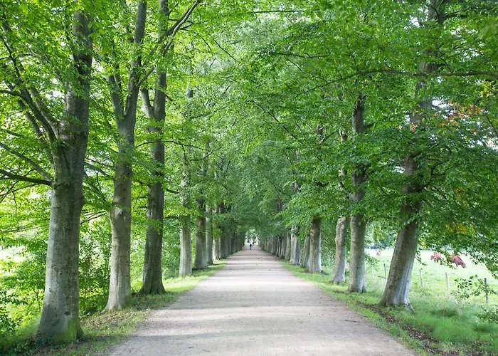 Hoeve Kroonen * سخين أوب خيو